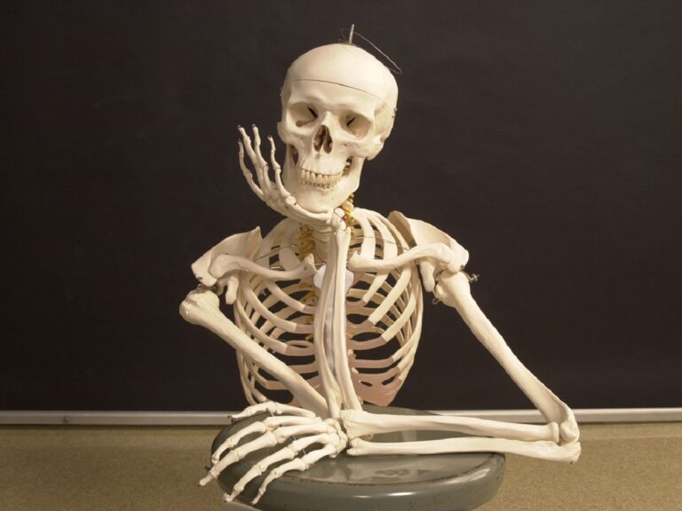 زیست۱۱ – فصل۳- گفتار ۱