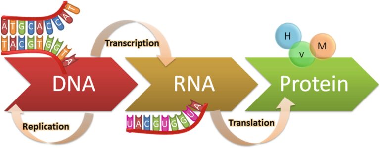 زیست۱۲ – فصل۲ – ویرایش جدید