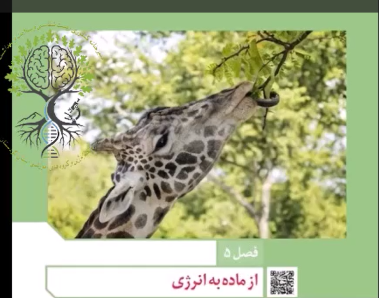 محتوای هوش مصنوعی از فصل 5 زیست شناسی 3 گروه زیست شناسی خراسان رضوی و نیشابور